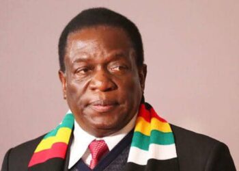 Zimbabwe: Govt Arraigns Opponents Accused Of Demolishing Ruling Party’s Offices