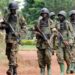 Uganda: Security Forces Launch Manhunt On Militants After Killing Of 25 In School
