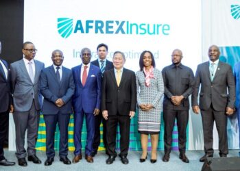 AfreximBank Unveils Insurance Company To Mitigate Trade Risks In Africa