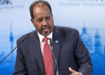 Somalia Urges UN To Lift Restriction On Arms As Al-Shabaab Reins Terror