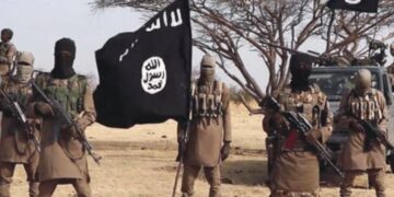 Nigeria: ISWAP Commander Reportedly Dies Of Snake Attack In Borno