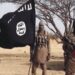 Nigeria: ISWAP Commander Reportedly Dies Of Snake Attack In Borno