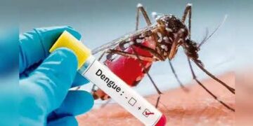 US Records 5 Cases Of Malaria, First Time In 20 Years