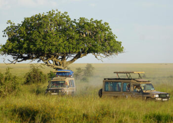 Zambia Tourism Set For Recovery Post Pandemic