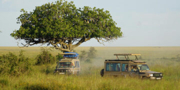 Zambia Tourism Set For Recovery Post Pandemic