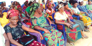 Cameroon Widows Decry Government Neglect, Plead Assistance