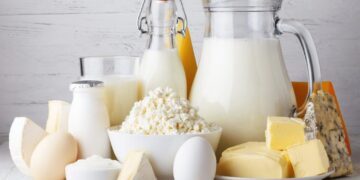 World Milk Day: Zimbabwe Milk Production Records Significant Rise