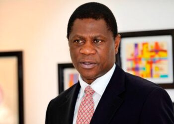 S/Africa: VP Condemns His Bodyguards Attack On Motorist, Promises To Probe