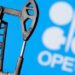 Nigeria Still Tops Africa In Oil Production Despite Output Dip - OPEC