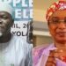 Nigeria: Court Stops Electoral Commission From Prosecuting Suspended Adamawa REC