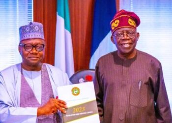 Nigeria: President Tinubu To Announce New Date For Population Census — NPC Boss