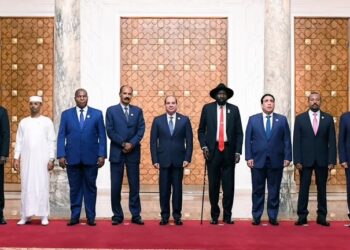 Sudan’s Neighbors Meet In Cairo To Discuss End To Crisis