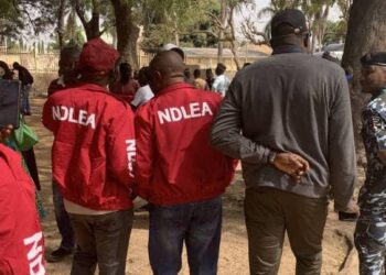 19-Year-Old Europe-bound Nigerian Student, Female Lawyers Arrested For Drug Trafficking