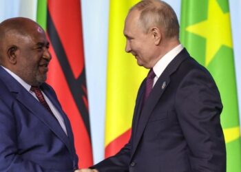 Grain not enough, African Leaders tell Putin