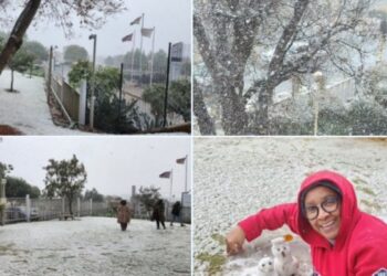 South Africans In Awe As Rare Snowfall, Icy Temperatures Hit Johannesburg