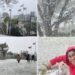 South Africans In Awe As Rare Snowfall, Icy Temperatures Hit Johannesburg