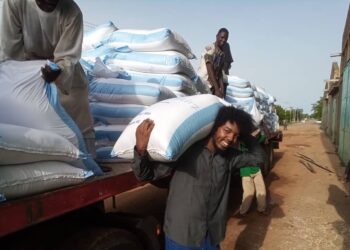 Sudan: UN Delivers First Humanitarian Convoy To East Darfur