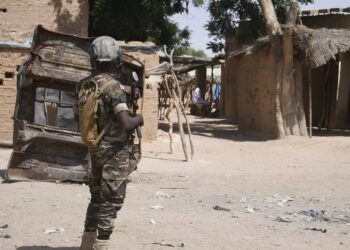 Niger: Six Soldiers, 10 Terrorists Killed In Fighting