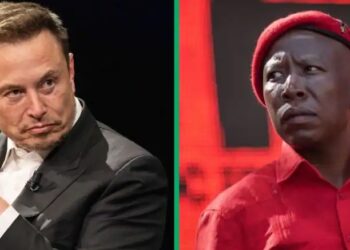 South Africa: Elon Musk, Malema Fight Dirty Over Controversial Song