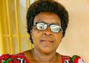 Burundi: Leading Opposition Party, CNL, Appoints New President After Ousting Founder