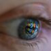New Google Tool Lets Users Track And Delete Search Results About Themselves