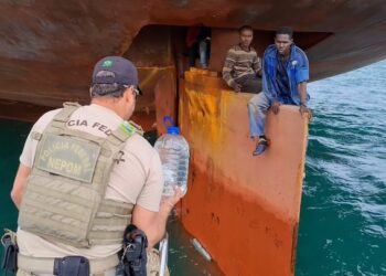 Nigerian Stowaways Survive 3,500-Mile Atlantic Crossing On Ship's Rudder