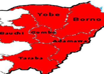 Nigeria: Group Decries Neglect Of North East Region