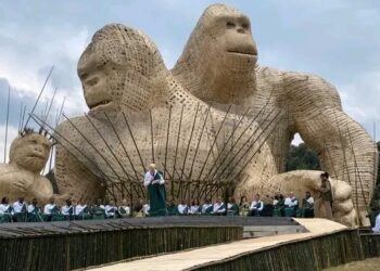 Rwanda earns $247million from tourism in first half of 2023