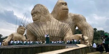 Rwanda earns $247million from tourism in first half of 2023