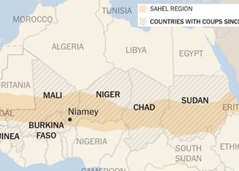 Tinubu And The Endgame In Niamey
