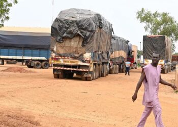 Niamey Receives Trucks Of Food, Essentials From Burkina Faso