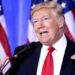 Former US President Donald Trump, investors