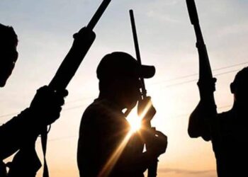 Nigeria: Gunmen Ambush Security Forces In Imo, Kill 8