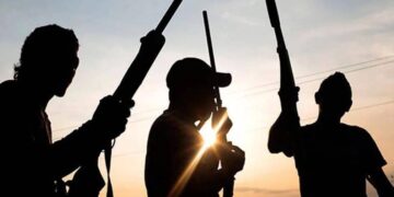 Nigeria: Gunmen Ambush Security Forces In Imo, Kill 8