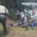US: Woman’s Lifeless Body Found In Alligator’s Jaws