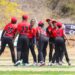 Cricket: Malawi, Mozambique, Others Win In ICC Women’s T20 World Cup Qualifier