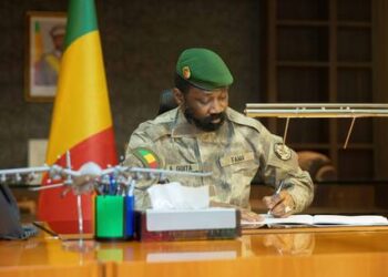 Mali: Political Parties Decry Junta's "Unilateral" Postponement Of Presidential Vote