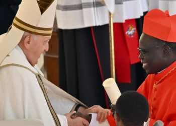 Pope Francis Appoints 21 New Cardinals, Including 3 From Africa