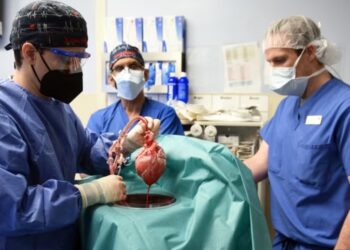 U.S. Specialists Achieve Second Pig-To-Human Heart Transplant Milestone