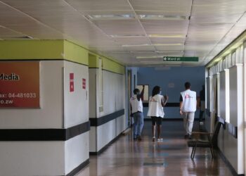 Zimbabwe: Cuba, Zimbabwe Reaffirm Willingness To Strengthen Health System