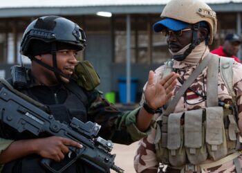 Cameroon, Chad Collaborate To Combat Security Threats