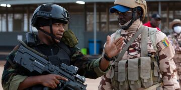 Cameroon, Chad Collaborate To Combat Security Threats