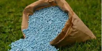 EU Blocks Zimbabwe Fertilizer Consignment From Russia