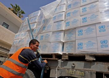 Egypt: Volunteers Collect Charity Aid For Gaza