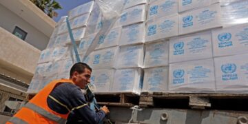 Egypt: Volunteers Collect Charity Aid For Gaza