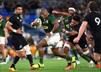 Rugby World Cup Final: Nigeria Backs South Africa Ahead Of New Zealand Clash 