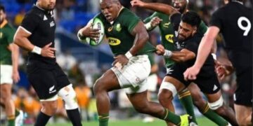 Rugby World Cup Final: Nigeria Backs South Africa Ahead Of New Zealand Clash 