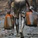 Oil Theft: Still The Same Old Story