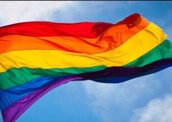 Cameroon: Regulator Lifts Ban On TV Channel Supporting Homosexuality