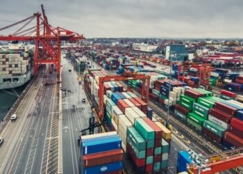 Tanzania Signs Multi-Million Dollar Port Deal With UAE Firm Despite Opposition